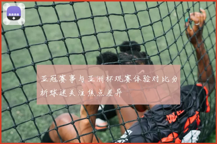 亚冠赛事与亚洲杯观赛体验对比分析球迷关注焦点差异